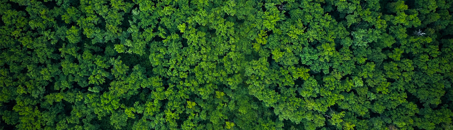 供应各类工业用纸、文化用纸、食品专用纸